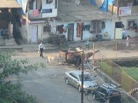 Mumbai