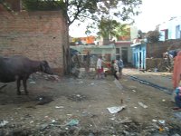 IMG 9457