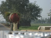 IMG 9464