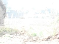 IMG 9466