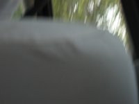 IMG 9467