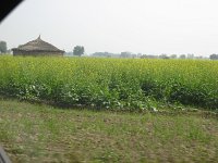 IMG 9468