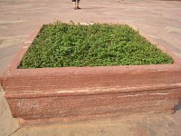 IMG 9666
