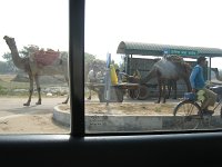 IMG 9671