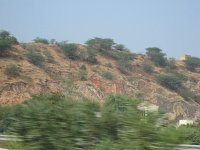 IMG 9674