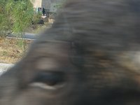 IMG 9704