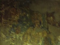 PB227414