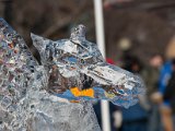 Ottawa_Canal_2009-23.jpg