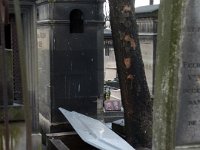 Paris 200902-9